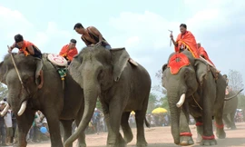 Trận "cầu đinh" giữa hai đội rất hấp dẫn 