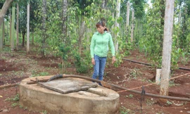 Nghi vấn giếng nước bị đổ thuốc trừ sâu khiến 1 người nhập viện