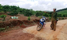 Đường bê tông “nắn” vào rẫy của ông Trần Đình Hạnh - Giám đốc Công ty TNHH MTV Xây dựng HBBT rồi dừng