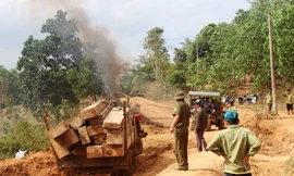 Hiện trường vụ vận chuyển gỗ trái phép