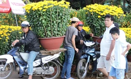 “Người vận chuyển” miệt lài lao động giữa dòng đời hối hả