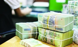 Truy tố nữ giám đốc lừa chiếm đoạt hơn 8 tỷ đồng của 'đối tác'