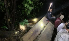 Hiện trường vụ hủy hoại rừng