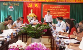 Đồng chí Lê Quốc Phong phát biểu kết luận buổi làm việc