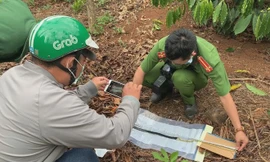 Công an khám nghiệm hiện trường vụ bố giết con trong chòi rẫy