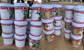 Hiện trường cơ quan chức năng phát hiện 20 thùng phân bón giả 