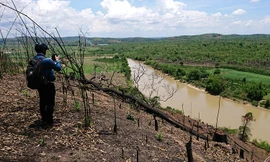 Huỷ hoại rừng đặc dụng Nam Kar: Trạm kiểm lâm có cũng như không