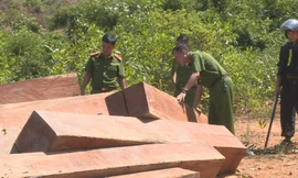 Hiện trường vụ phá rừng tại lâm phần của Công ty TNHH MTV Lâm nghiệp Ea Ka