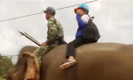 Học sinh đi học bằng voi ở Đắk Lắk gây sự chú ý (ảnh cắt từ clip)