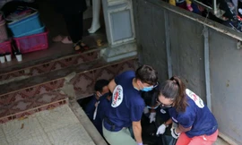 2 cá thể gấu ngựa nặng gần 300 kg được giải cứu khỏi chuồng nuôi tại một nhà dân ở Sông Mã, Sơn La - Ảnh: FOUR PAWS