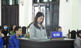 Hoàng Thị Ánh Nguyệt bị xử 12 tháng tù vì thuê côn đồ đánh thuộc cấp cũ của chồng - Ảnh: Hoàng Long