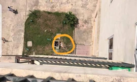 Nạn nhân nhảy từ tầng 7 xuống sân bệnh viện dẫn đến tử vong - Ảnh: Hoàng Long