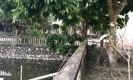 Khu vực ao nước, nơi phát hiện thi thể ông Trần Văn Phú - Ảnh: Hoàng Long