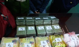 Tang vật ma tuý bị thu giữ - Ảnh: Hoàng Long