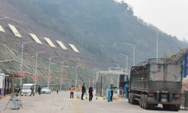 Lãnh đạo UBND tỉnh Lạng Sơn họp bàn với các ngành chức năng cần làm rõ những vấn đề nảy sinh khi "Đội lái xe chuyên trách" đi vào hoạt động .Ảnh: Duy Chiến