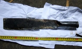 Kẻ cuồng sát dùng dao hãm hại mẹ, con .Ảnh minh họa