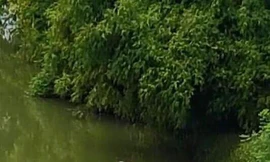 Hiện trường vụ việc .Ảnh: Duy Chiến