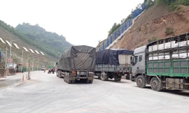 Hiện nay, trên các cửa khẩu Lạng Sơn vẫn còn khoảng 1500 xe chở hàng chờ xuất khẩu. Nếu phải dừng thông quan 5 ngày thì ảnh hưởng rất lớn đến hoạt động xuất nhập khẩu hàng hóa .Ảnh: Duy Chiến