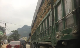 Xe chở hàng nông sản vẫn đỗ dài ở khu vực cửa khẩu Tân Thanh .Ảnh: Duy Chiến