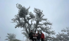 Nhiều thanh niên lên đỉnh núi Cao Bằng săn tuyết, chụp ảnh .Ảnh: Đ. Dương