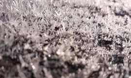 Băng giá tràn ngập cỏ cây, hoa lá ở Cao Bằng. .Ảnh Dương Dương