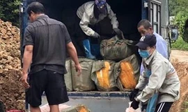 Tiểu hủy gần 3 tấn nầm lợn thối nhập lậu .Ảnh: H.K