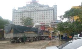 Mỗi ngày có khoảng trên 2000 tấn thanh long xuất bán sang Pò Chài (Trung Quốc) *ảnh: Duy Chiến