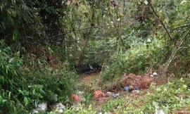 Hiện trường vụ việc. Ảnh: N. Tuấn