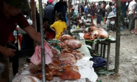 Khoảng 200 con lợn quay vàng rộm tại lễ hội Ba Xã. Ảnh: Duy Chiến