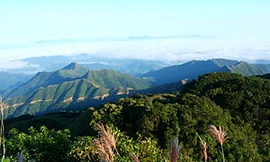 Khu vực phát hiện xác chết trên đỉnh Mẫu Sơn *ảnh: TL