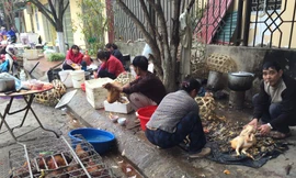 Nhộn nhịp dịch vụ nhổ lông gà thuê ở chợ Chi Lăng *ảnh: Duy Chiến