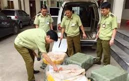 Lực lượng chức năng Lạng Sơn kiểm đếm số nầm lợn nhập lậu *ảnh: TL