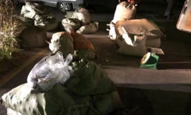 Lái xe khai nhận, số thuốc bắc gần 1,5 tấn lần này là thứ 2 nhận vận chuyển thuê từ biên giới Lạng Sơn về tỉnh Bắc Ninh tiêu thụ .Ảnh: DC