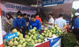 Gian hàng của Tuổi trẻ Chi Lăng hút khách với quả na đặc sản to, đẹp - Ảnh: Duy Chiến