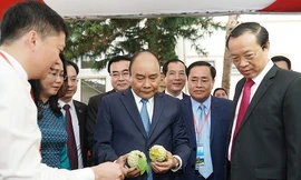 Ảnh: VGP/Quang Hiếu