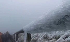 Thiên đường cỏ lau Đình Lập trắng xóa một màu *ảnh: S. Kiếm