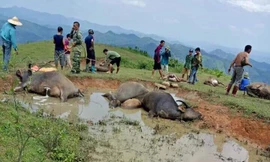 Hiện trường vụ việc .Ảnh: D. Chiến