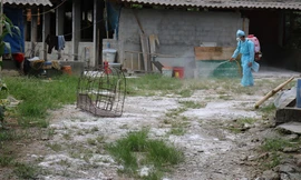 Nhiều đối tượng lợi dụng bệnh dịch covid-19 để lừa đảo và trộm cắp khi chủ nhà sơ hở. (Ảnh mang tính minh họa- TL)