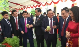 Các đồng chí lãnh đạo trung ương, địa phương thăm gian hàng huyện Chi Lăng, chiêm ngưỡng quả "na Hoàng hậu" .Ảnh: Duy Chiến