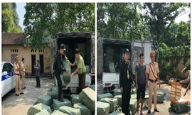 Lực lượng chức năng phát hiện đối tượng và hàng tấn nầm lợn nhập lậu .Ảnh: TL