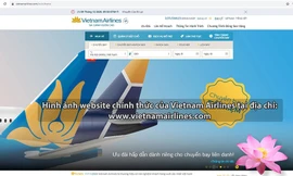 Cuối năm cẩn thận website bán vé máy bay giả mạo