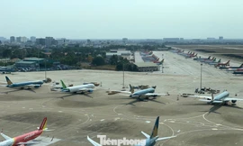 Sân bay Tân Sơn Nhất quá tải ban ngày, tăng chuyến đêm 'cứu' khách dịp Tết