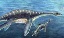 Quái vật biển có thực sự tồn tại?