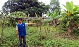 Nạn nhân A Tuyênh với lô đất đang sử dụng ổn định, song sổ đỏ đã bị cấp cho người khác