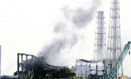 Dân Tokyo đổ xô mua nước đóng chai