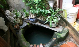 Giếng khơi - Nét văn hóa làng xã giữa lòng Hà Nội