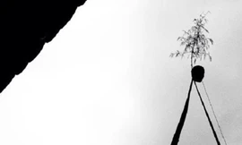 Cây nêu ngày Tết