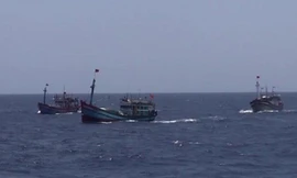 Tàu cá Việt Nam kiên cường bám biển tại ngư trường truyền thống của mình. Ảnh: TTXVN