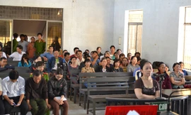 Bị cáo Nguyễn Thị Hoa chối tội trước vành móng ngựa