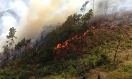 Nắng gắt gây ra 14 vụ cháy rừng liên tục.